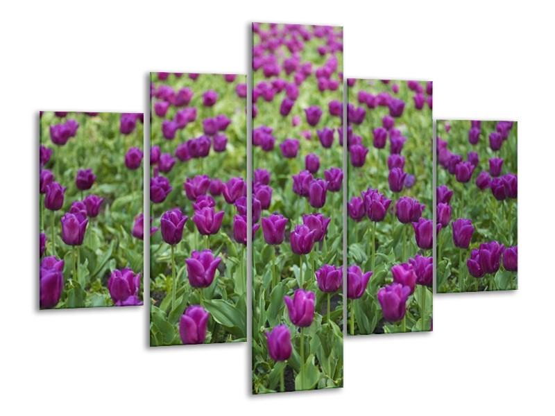 Canvas schilderij Tulpen | Paars, Groen | 100x70cm 5Luik