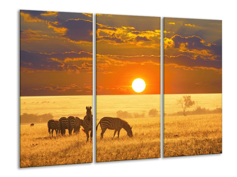 Canvas schilderij Zebra | Geel, Oranje, Wit | 120x80cm 3Luik