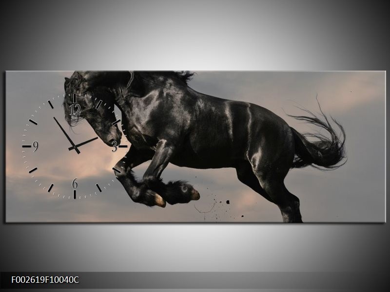 Klok schilderij Paarden | Zwart, Wit, Grijs | 100x40cm 1Luik