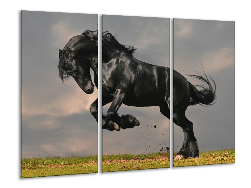 Canvas schilderij Paarden | Zwart, Wit, Grijs | 120x80cm 3Luik