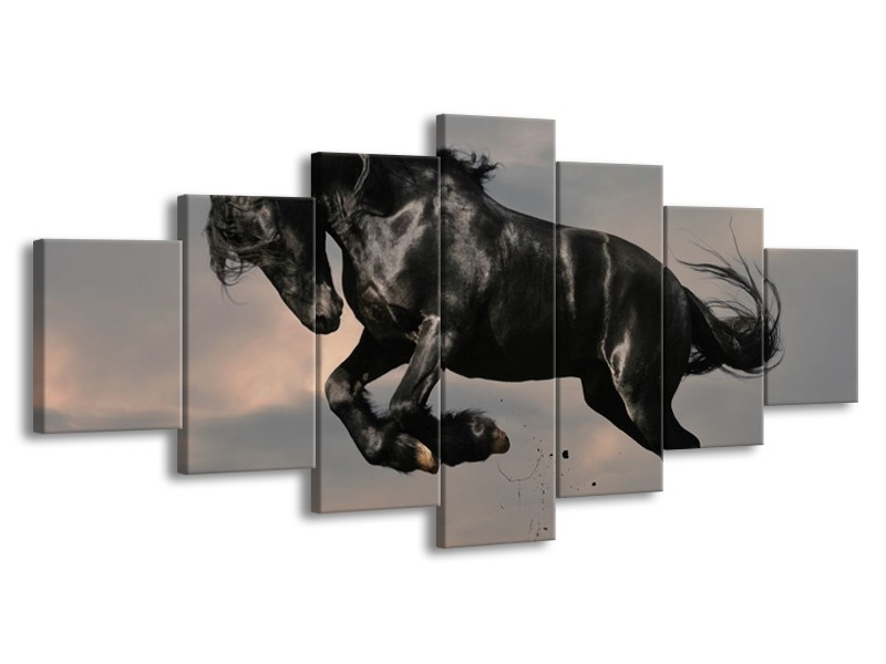Canvas schilderij Paarden | Zwart, Wit, Grijs | 210x100cm 7Luik