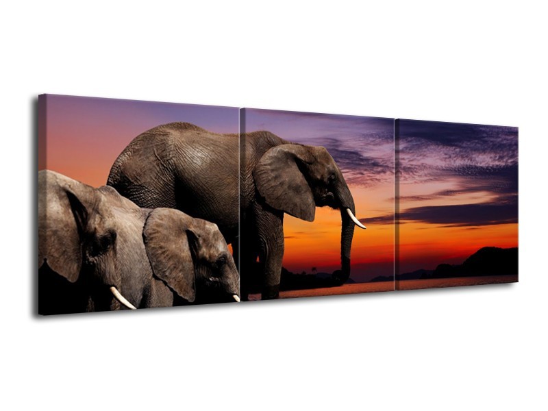 Canvas schilderij Olifant | Grijs, Oranje, Paars | 120x40cm 3Luik