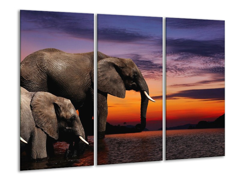 Canvas schilderij Olifant | Grijs, Oranje, Paars | 120x80cm 3Luik