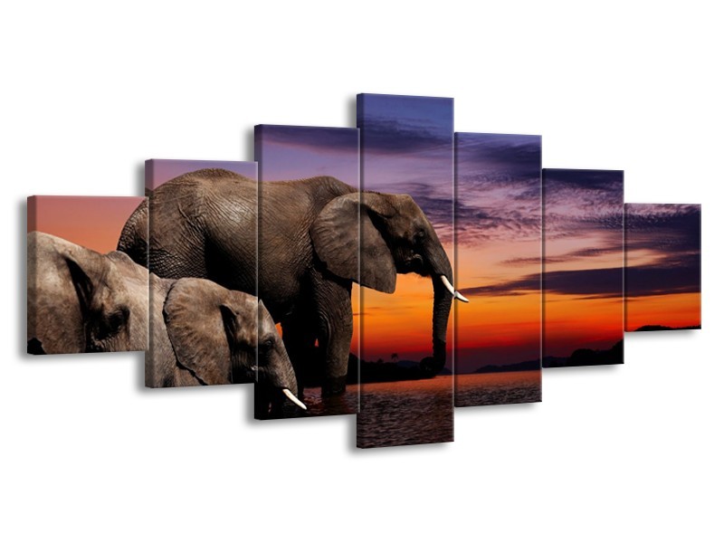 Canvas schilderij Olifant | Grijs, Oranje, Paars | 210x100cm 7Luik