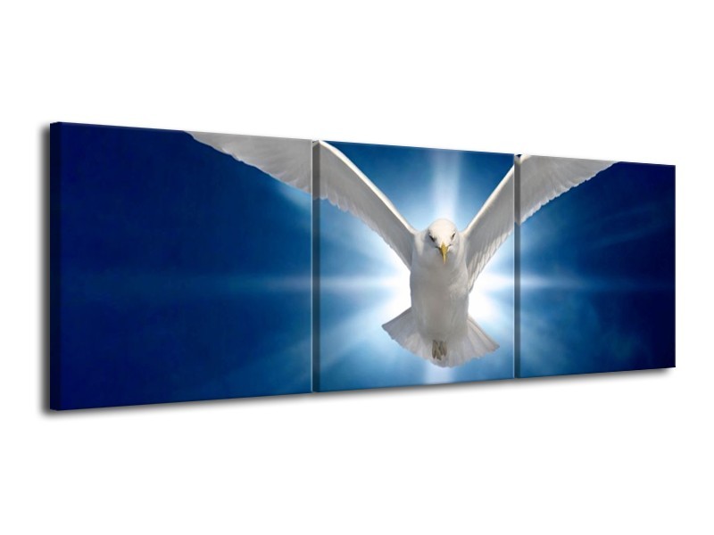 Glas schilderij Vogel | Wit, Blauw | 120x40cm 3Luik