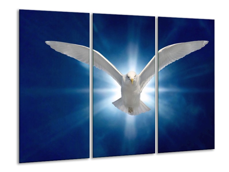 Canvas schilderij Vogel | Wit, Blauw | 120x80cm 3Luik