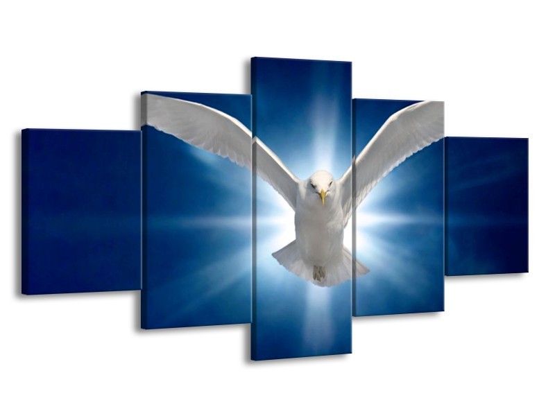 Glas schilderij Vogel | Wit, Blauw | 150x80cm 5Luik