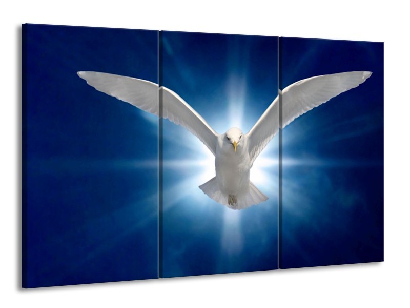 Canvas schilderij Vogel | Wit, Blauw | 165x100cm 3Luik
