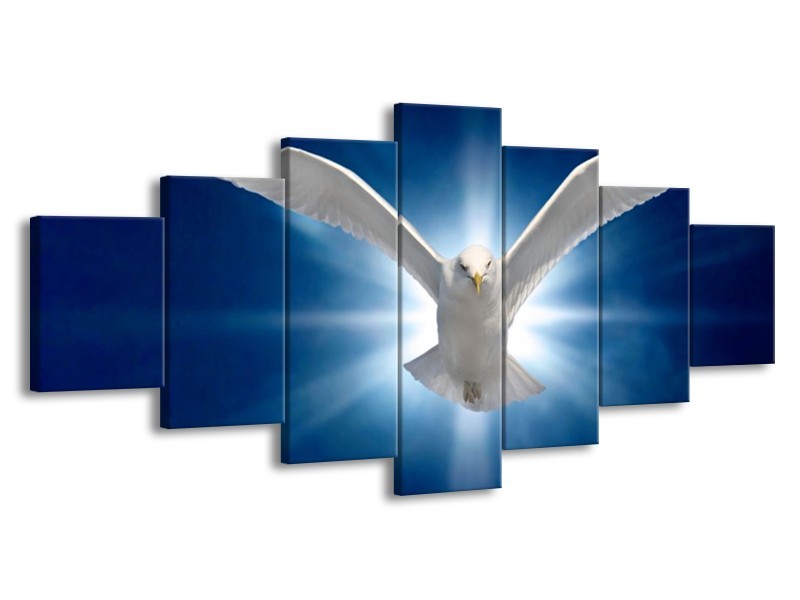 Canvas schilderij Vogel | Wit, Blauw | 210x100cm 7Luik