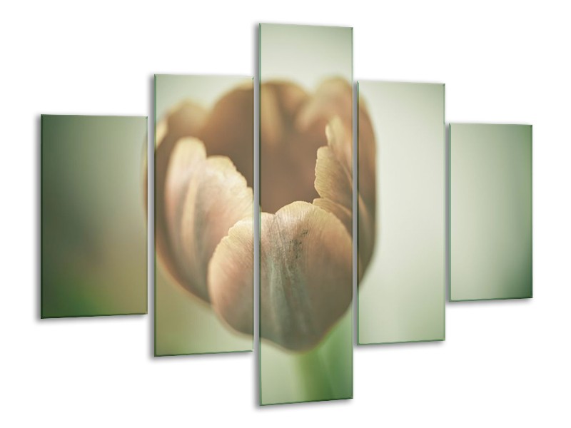 Canvas schilderij Tulp | Grijs, Groen, Wit | 100x70cm 5Luik