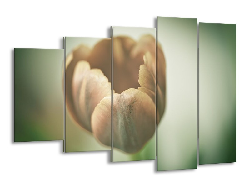 Canvas schilderij Tulp | Grijs, Groen, Wit | 150x100cm 5Luik