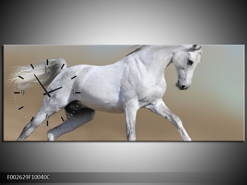 Klok schilderij Paard | Wit, Grijs | 100x40cm 1Luik