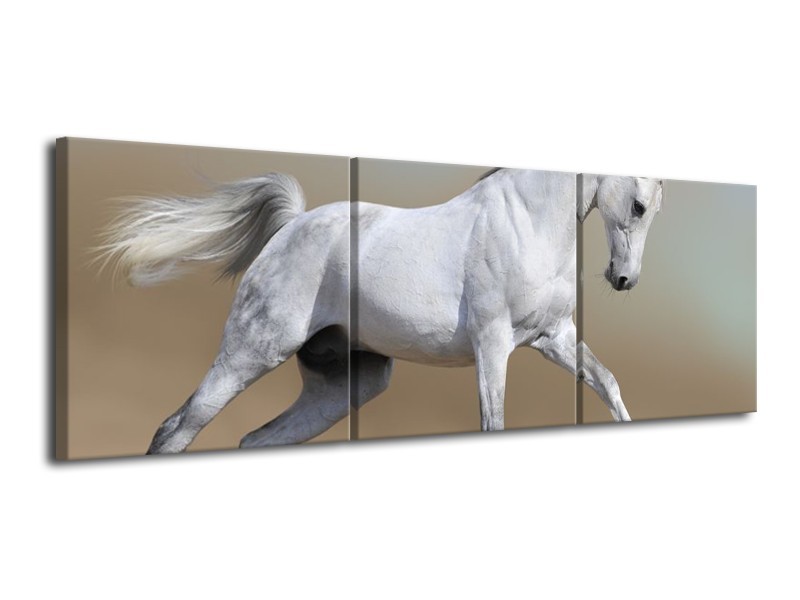 Glas schilderij Paard | Wit, Grijs | 120x40cm 3Luik