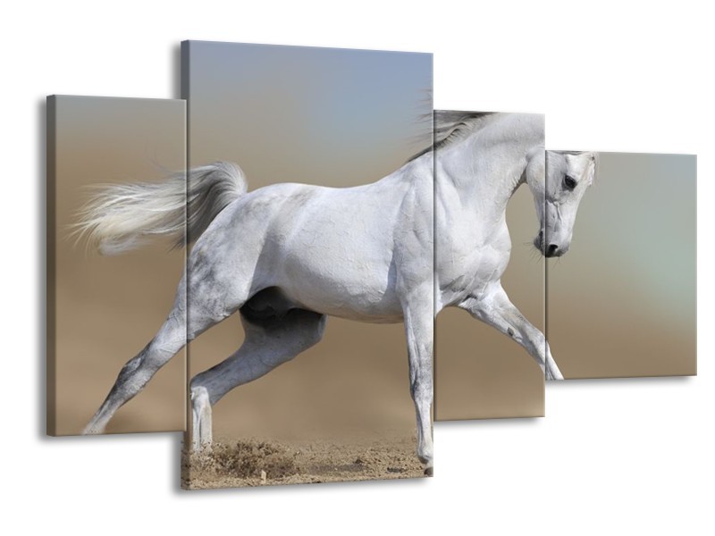 Canvas schilderij Paard | Wit, Grijs | 120x75cm 4Luik