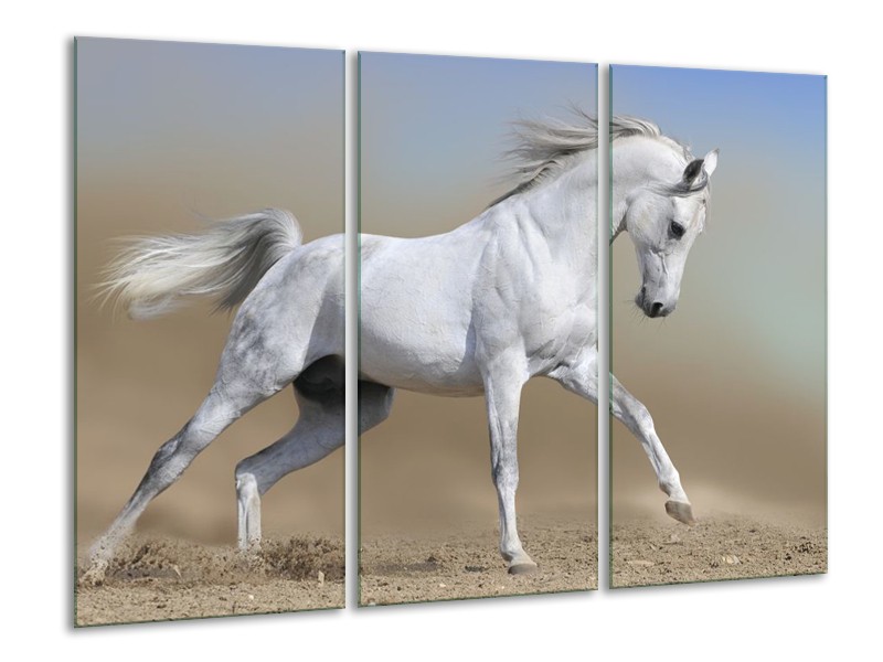 Canvas schilderij Paard | Wit, Grijs | 120x80cm 3Luik