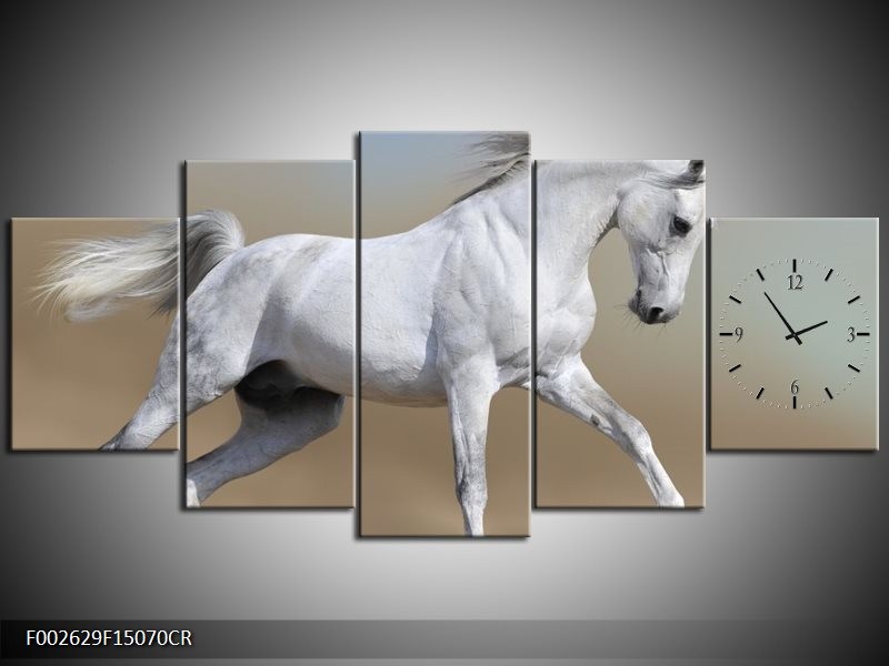 Klok schilderij Paard | Wit, Grijs | 150x70cm 5Luik