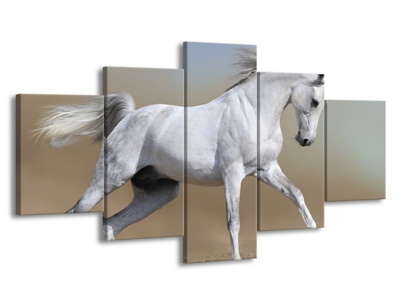 Canvas schilderij Paard | Wit, Grijs | 150x80cm 5Luik