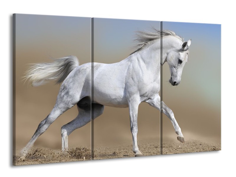 Canvas schilderij Paard | Wit, Grijs | 165x100cm 3Luik