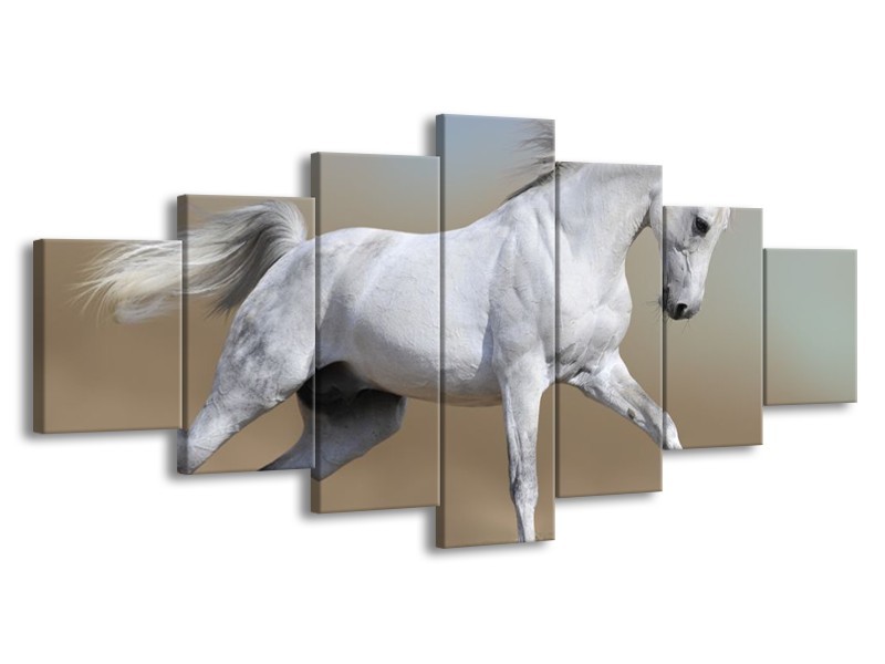 Canvas schilderij Paard | Wit, Grijs | 210x100cm 7Luik