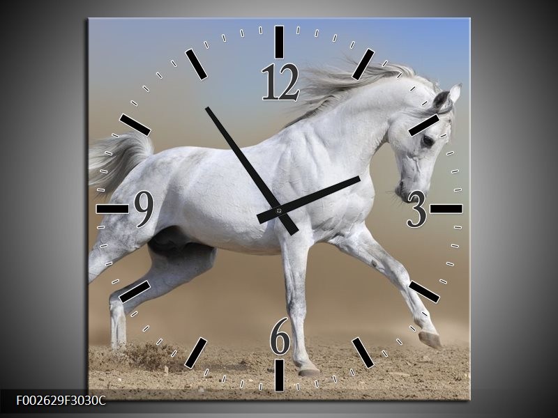 Klok schilderij Paard | Wit, Grijs | 30x30cm 1Luik