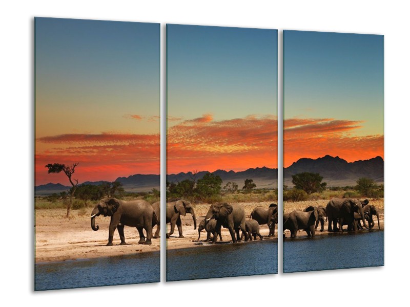 Canvas schilderij Olifant | Oranje, Grijs, Blauw | 120x80cm 3Luik