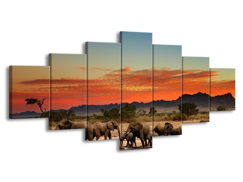 Canvas schilderij Olifant | Oranje, Grijs, Blauw | 210x100cm 7Luik