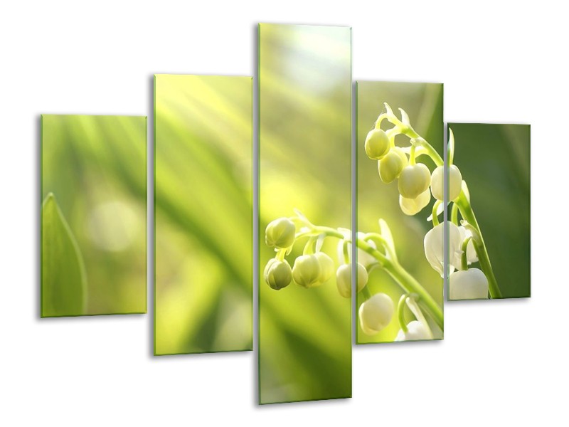 Canvas schilderij Bloem | Groen, Wit | 100x70cm 5Luik