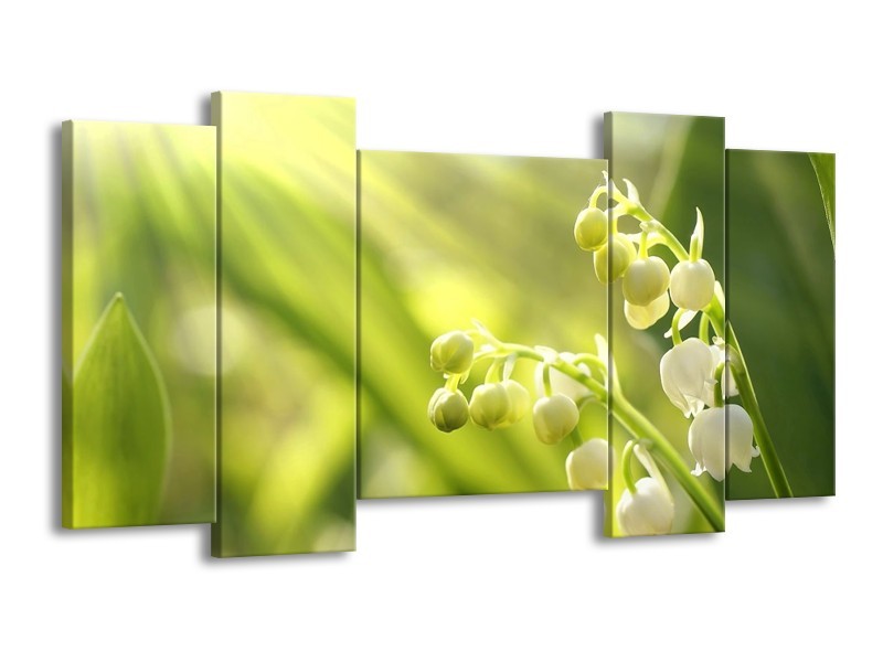 Canvas schilderij Bloem | Groen, Wit | 120x65 5Luik