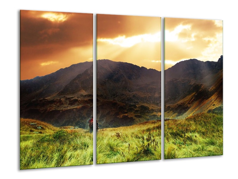 Canvas schilderij Natuur | Wit, Bruin, Groen | 120x80cm 3Luik