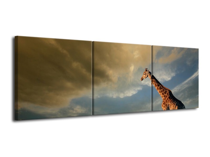 Glas schilderij Giraffe | Bruin, Grijs, Blauw | 120x40cm 3Luik