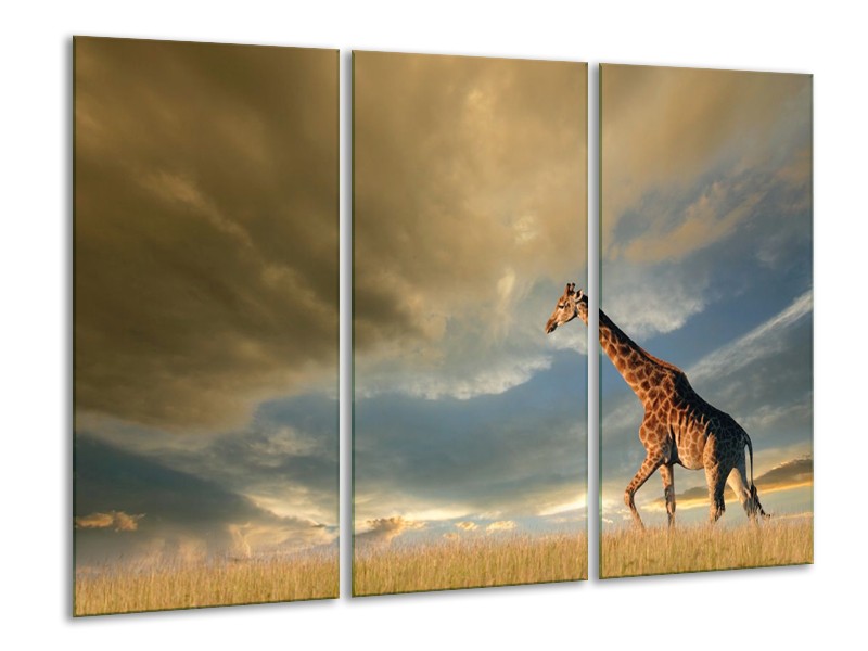 Canvas schilderij Giraffe | Bruin, Grijs, Blauw | 120x80cm 3Luik
