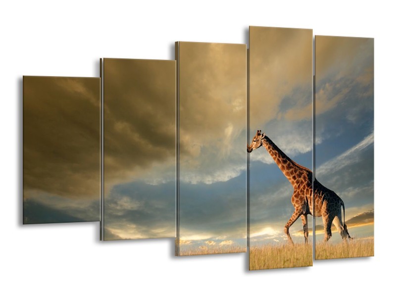 Canvas schilderij Giraffe | Bruin, Grijs, Blauw | 150x100cm 5Luik