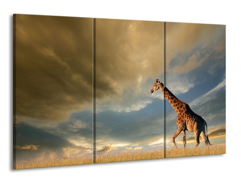 Canvas schilderij Giraffe | Bruin, Grijs, Blauw | 165x100cm 3Luik