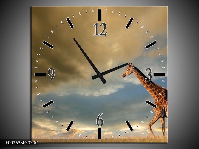 Klok schilderij Giraffe | Bruin, Grijs, Blauw | 30x30cm 1Luik