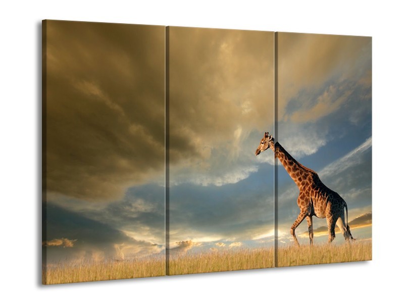 Canvas schilderij Giraffe | Bruin, Grijs, Blauw | 90x60cm 3Luik