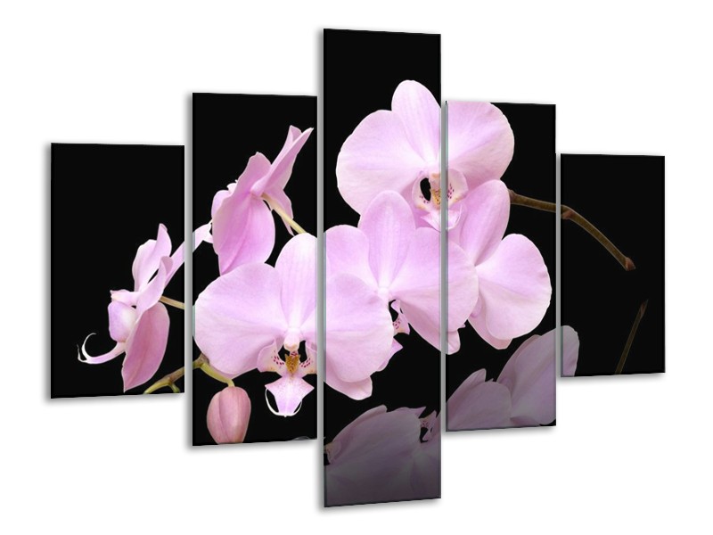 Canvas schilderij Orchidee | Roze, Wit, Zwart | 100x70cm 5Luik