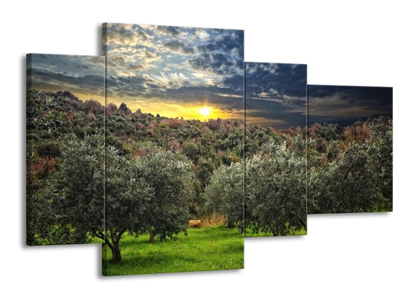 Canvas schilderij Natuur | Groen, Geel, Blauw | 120x75cm 4Luik