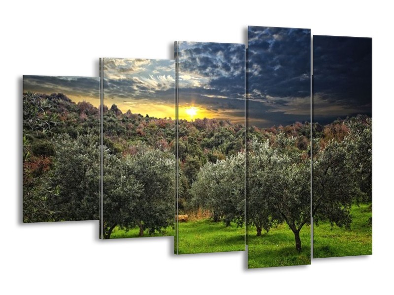 Glas schilderij Natuur | Groen, Geel, Blauw | 150x100cm 5Luik
