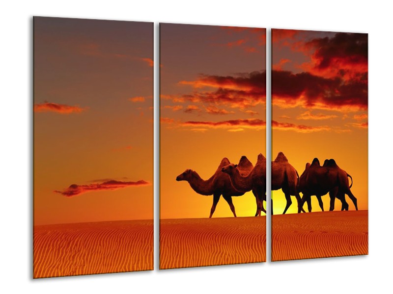 Canvas schilderij Kameel | Oranje, Bruin, Geel | 120x80cm 3Luik