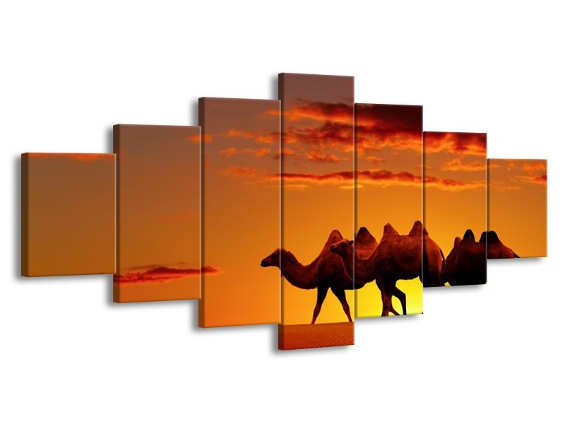 Canvas schilderij Kameel | Oranje, Bruin, Geel | 210x100cm 7Luik