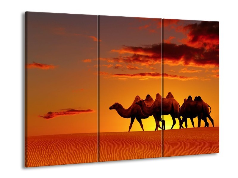 Canvas schilderij Kameel | Oranje, Bruin, Geel | 90x60cm 3Luik