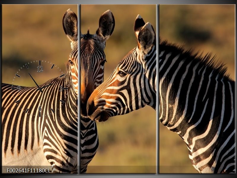 Klok schilderij Zebra | Zwart, Wit, Bruin | 111x80cm 3Luik