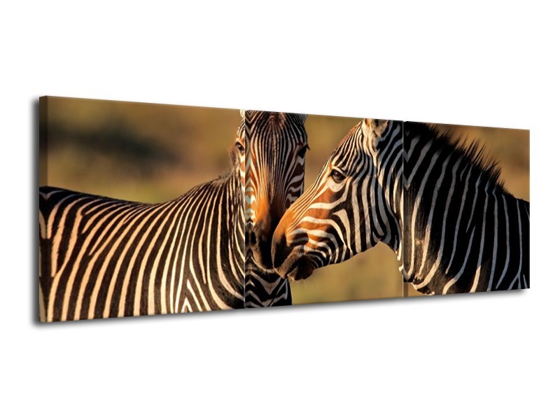 Canvas schilderij Zebra | Zwart, Wit, Bruin | 120x40cm 3Luik