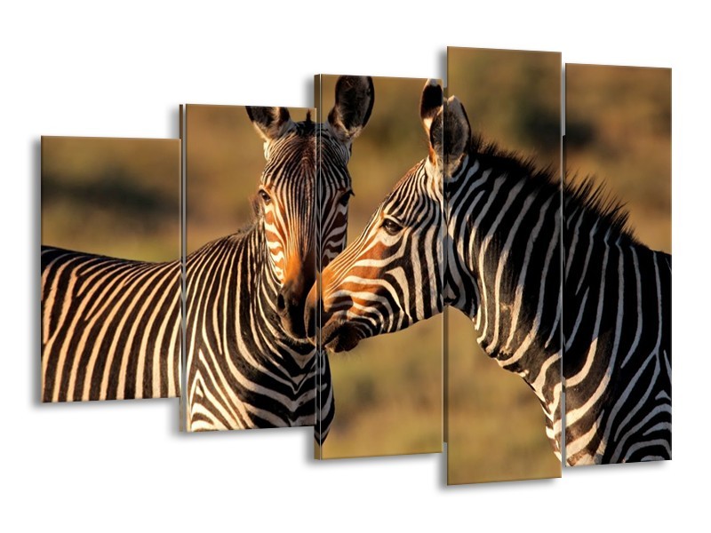 Glas schilderij Zebra | Zwart, Wit, Bruin | 150x100cm 5Luik