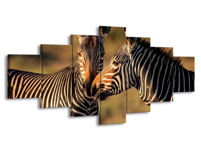 Canvas schilderij Zebra | Zwart, Wit, Bruin | 210x100cm 7Luik