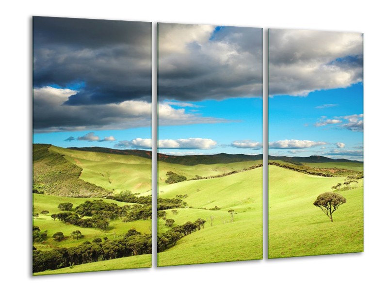 Canvas schilderij Natuur | Groen, Blauw, Wit | 120x80cm 3Luik