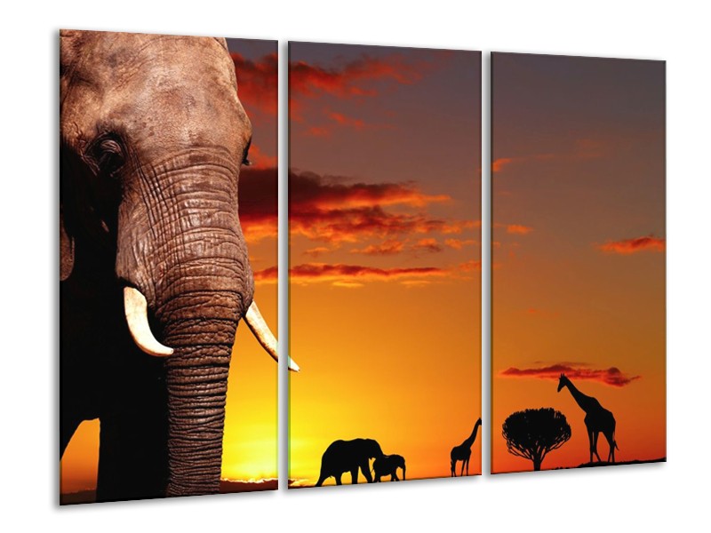 Canvas schilderij Olifant | Bruin, Geel, Oranje | 120x80cm 3Luik