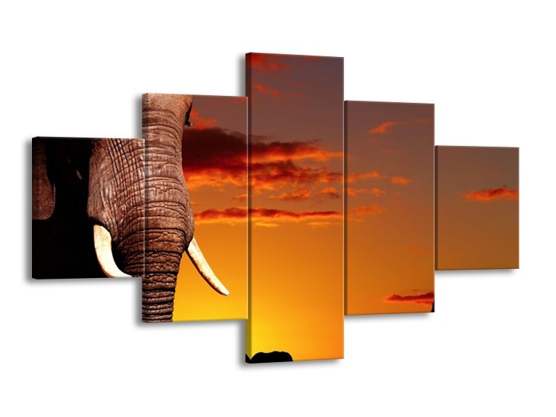 Glas schilderij Olifant | Bruin, Geel, Oranje | 125x70cm 5Luik