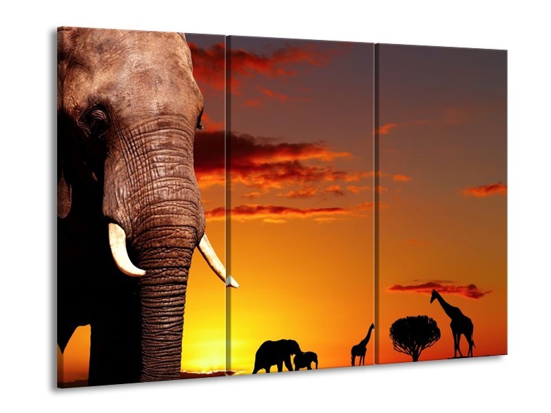 Canvas schilderij Olifant | Bruin, Geel, Oranje | 90x60cm 3Luik