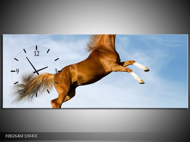 Klok schilderij Paard | Bruin, Blauw, Wit | 100x40cm 1Luik